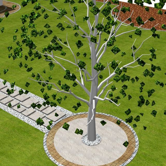 Duże drzewo w centralnej części ogrodu.